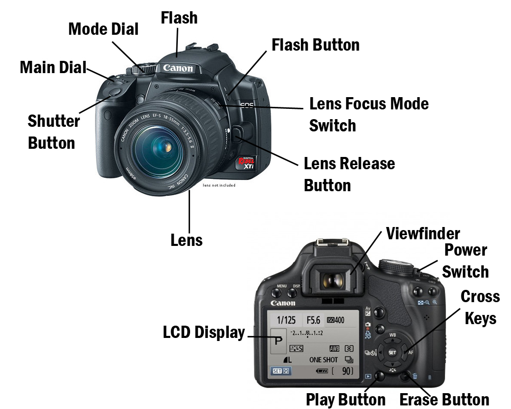 Digital camera amateur colorimeter